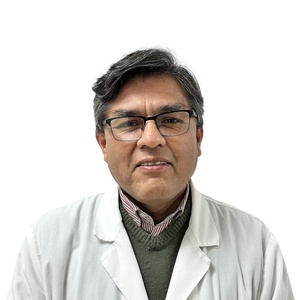 Dr(a) Fernando Manuel Paniagua Vela