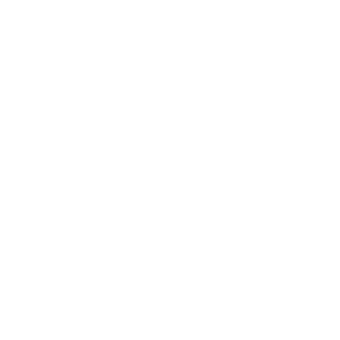 Pago particular