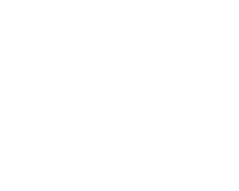 Segundo lugar