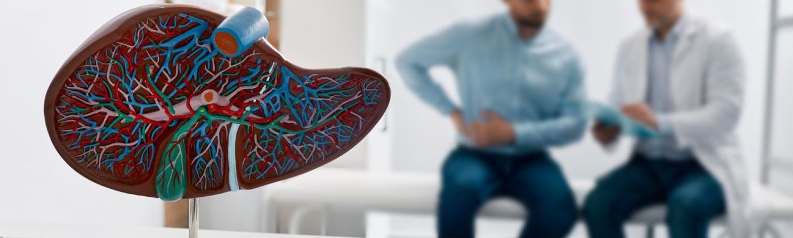 Enfermedades hepáticas: síntomas, causas y cómo prevenirlas