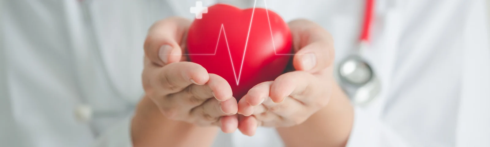 ¿Qué es la dislipidemia y cómo se controla?