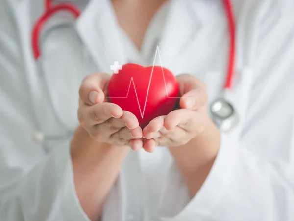 imagen del artículo